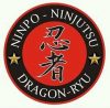 Dragon Ryu Logo